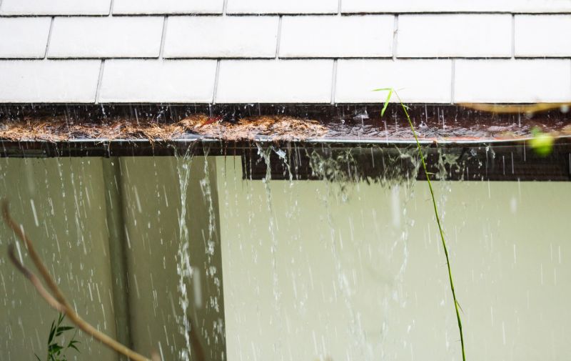 Gutter Blockage Removal in Baltimore, MD