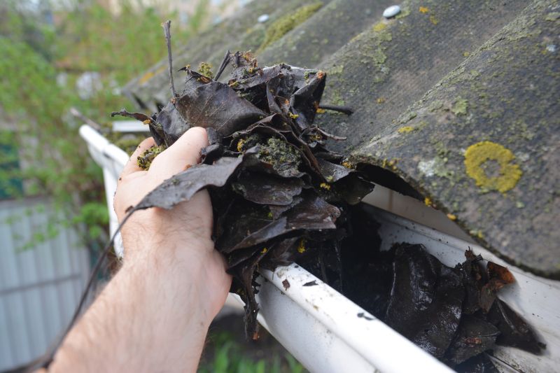 Downspout Cleaning in Pittsburgh, PA