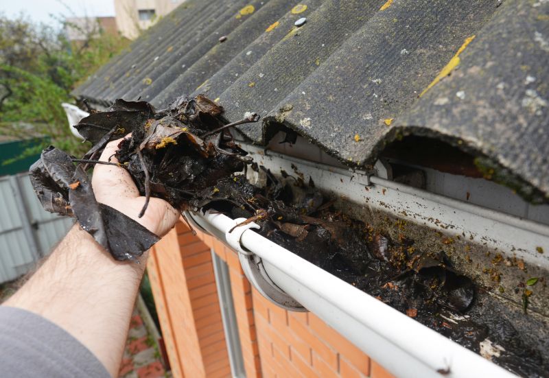Gutter Blockage Removal in Annapolis, MD