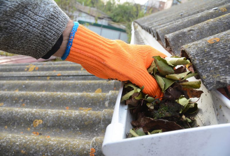 Gutter Leaf Clearing in Morris County, NJ