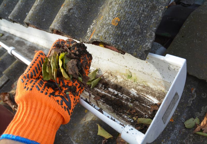Gutter Leaf Clearing in Arvada, CO