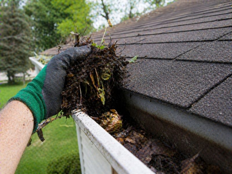 Gutter Leaf Clearing in Boulder, CO