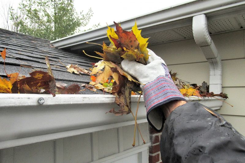 Gutter Leaves Removal in Pittsburgh, PA