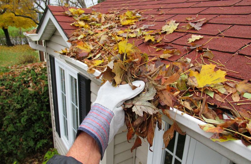 Gutter Pine Needle Removal in Monmouth County, NJ